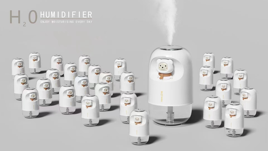 Humidifier E