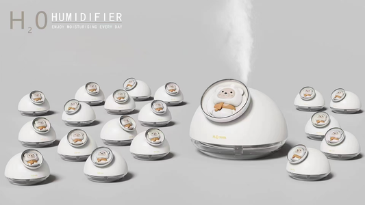 Humidifier F